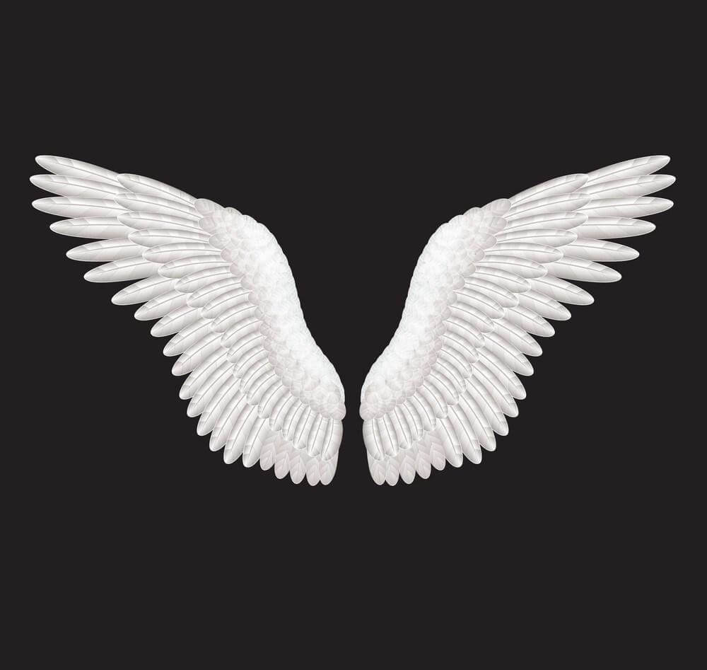 Halloween 3D Angel Devil Big Wings